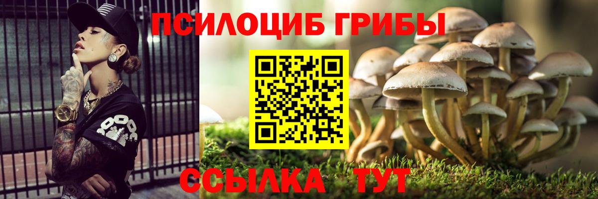 Галлюциногенные грибы мицелий  Вход с VPN  Тулун 